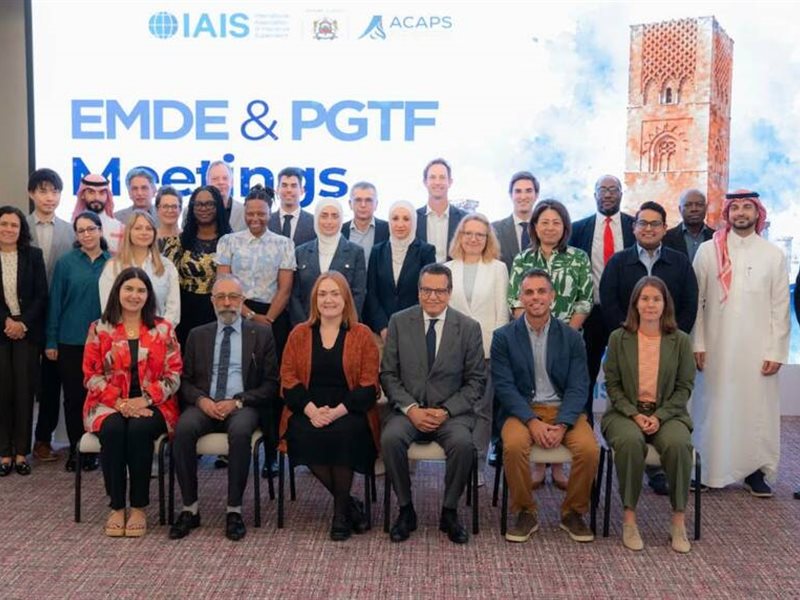الرقابة المالية المصرية