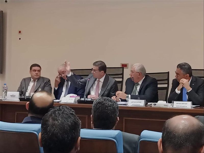 علاء فاروق، وزير