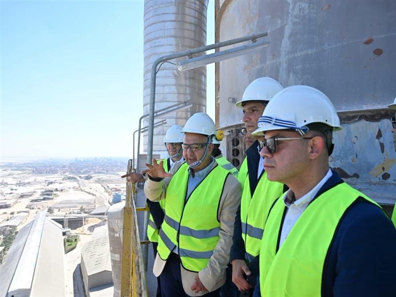 الدكتور محمد فريد وزير الاستثمار