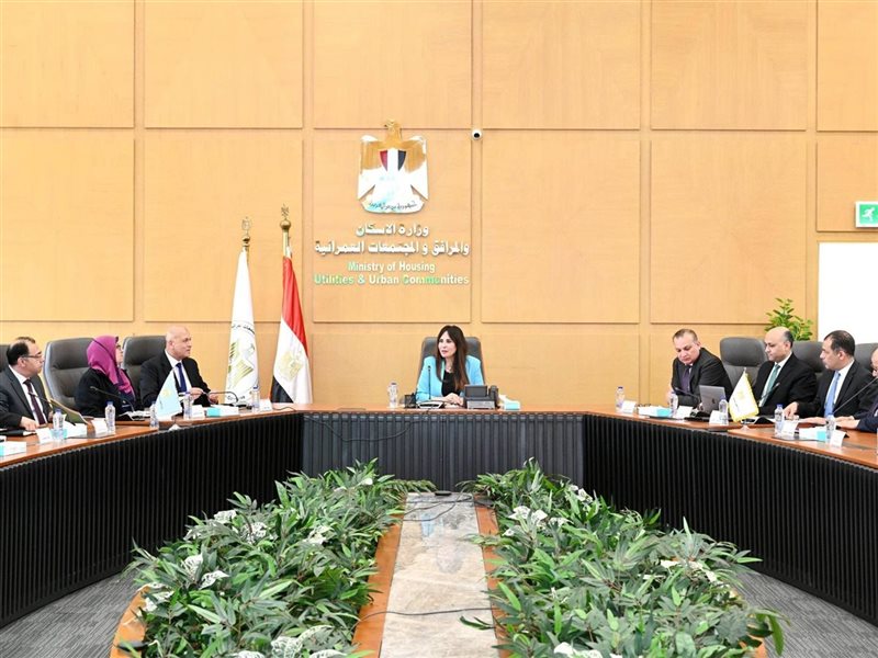 راندة المنشاوي وزيرة