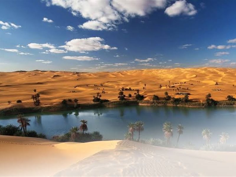 الواحات البحرية