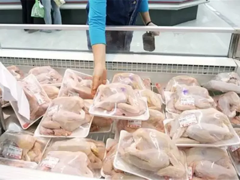 الفراخ اليوم
