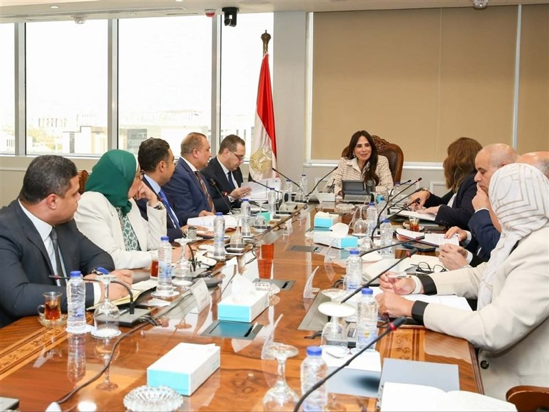 راندة المنشاوي وزيرة