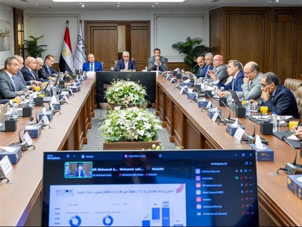 اقتصادية قناة السويس تحقق أعلى إيرادات في تاريخها بقيمة 15.9 مليار جنيه