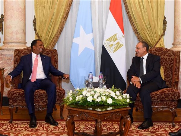 مصر والصومال تبحثان تعزيز الشراكة الاستراتيجية وتطورات القرن الأفريقي
