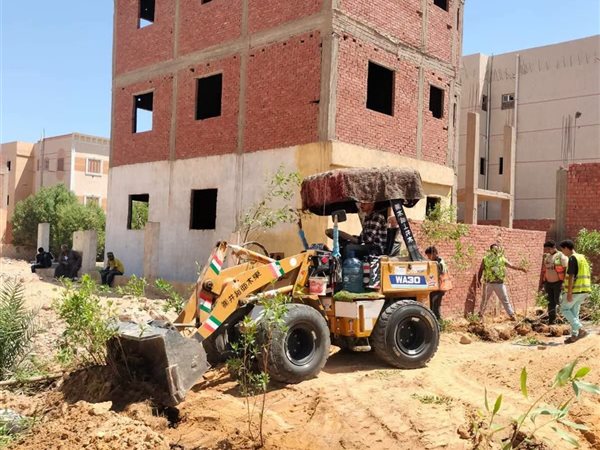 لا تهاون مع المخالفات.. إزالة فورية للتعديات والاستحواذ الشجري بمنطقة 
