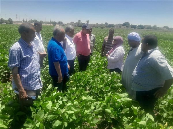 تكليفات وزير الزراعة تواصل دعم المزارعين وتطوير الري الحديث وزيادة الإنتاج بمحافظة المنيا