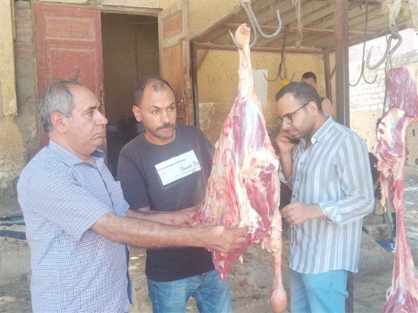 محافظ أسيوط: ضبط لحوم غير صالحة وإعدام عجل داخل مجزر حكومي خلال 