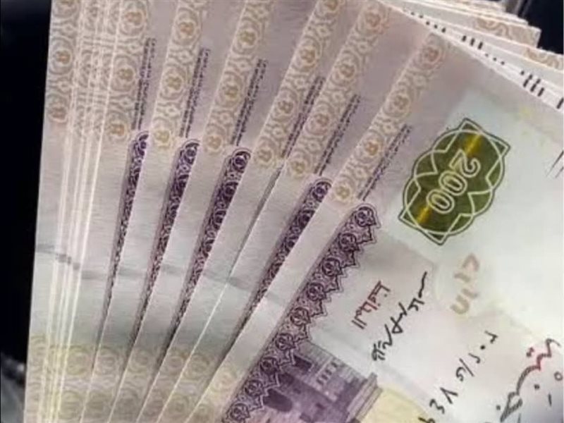 العملة المصرية 
