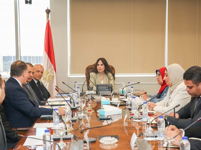 راندة المنشاوي وزيرة