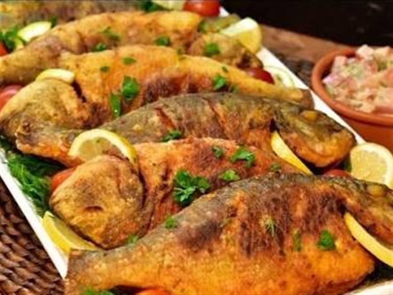 سمك بلطي