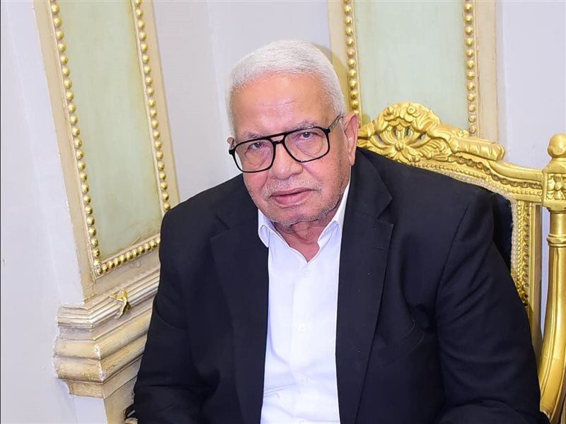 محمود فرغل الشندويلي
