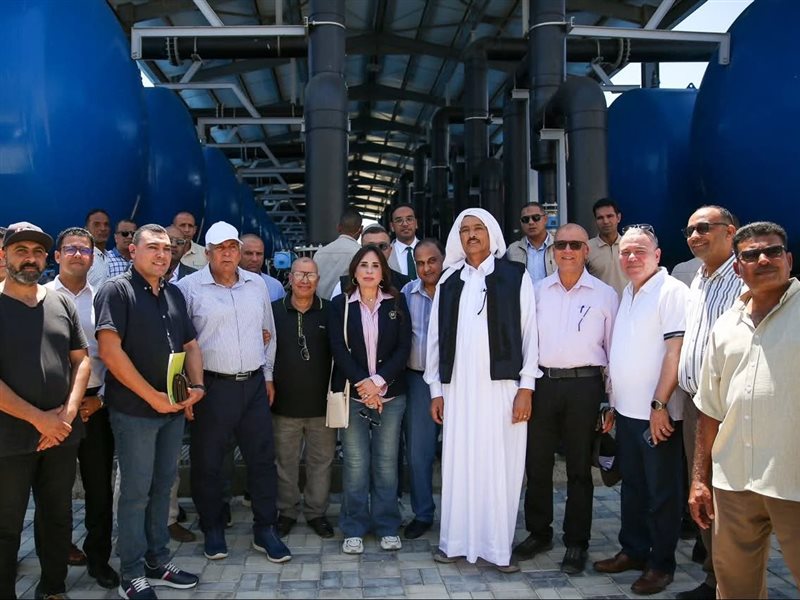 راندة المنشاوي وزيرة