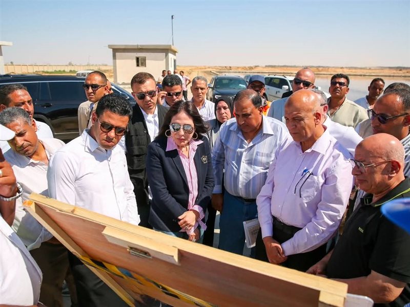 راندة المنشاوي وزيرة