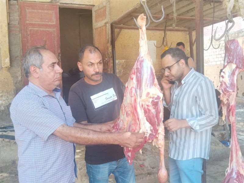 خلال حملة اليوم