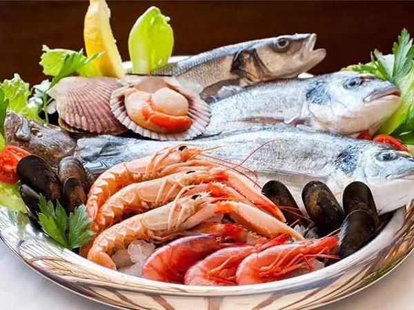 أسعار الأسماك اليوم في سوق العبور.. البلطي يبدأ من 73 جنيهًا والكابوريا تصل لـ190 جنيهًا