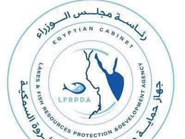 كرفانات ذكية بموانئ الصيد..«تنمية البحيرات» تطور منظومة رصد الثروة السمكية بالتكنولوجيا الحديثة