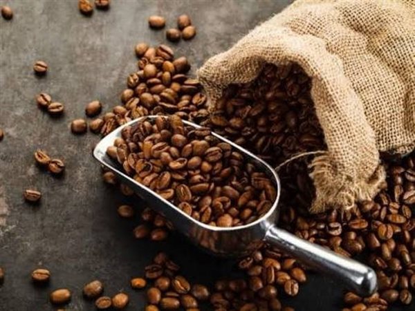 غرفة البن تكشف طرق غش القهوة.. نوى البلح والبسلة والقمح أبرز البدائل المستخدمة