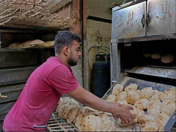 شعبة مخابز كفر الشيخ تطالب بتخفيف الأعباء والعودة لسداد قيمة الدقيق إلكترونيًا