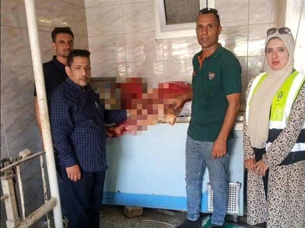 تموين البحيرة يضبط لحومًا وأسماكًا وحلوى مجهولة المصدر خلال حملة مكبرة ببدر