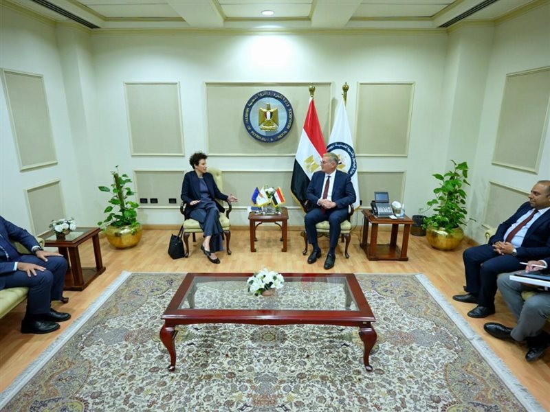 وزير البترول والثروة