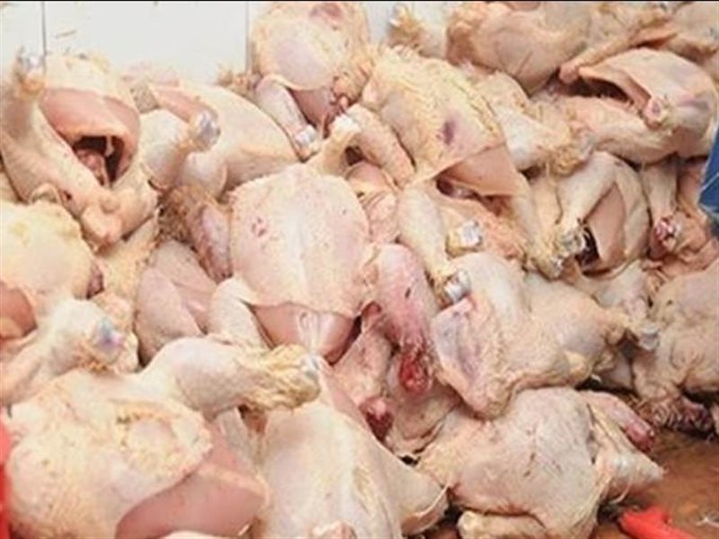 دواجن فاسدة