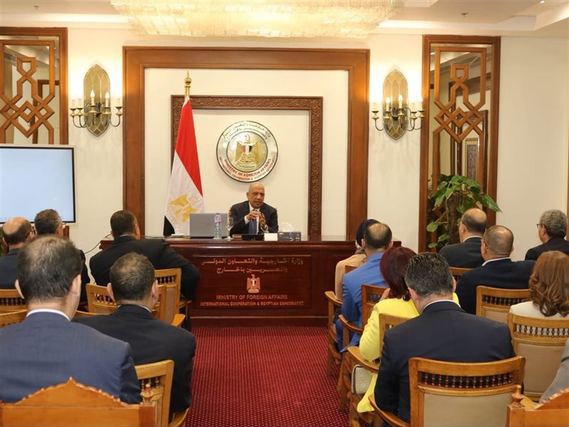 وزير الكهرباء 