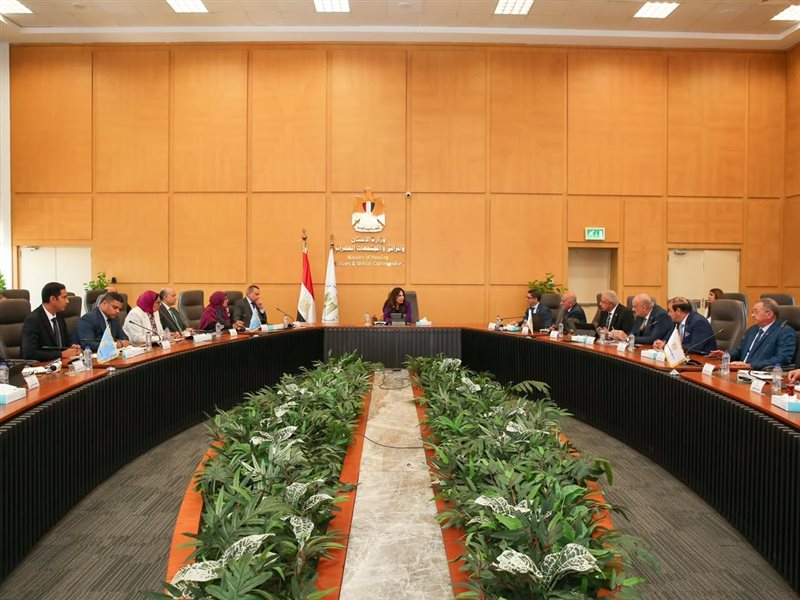 راندة المنشاوي وزيرة