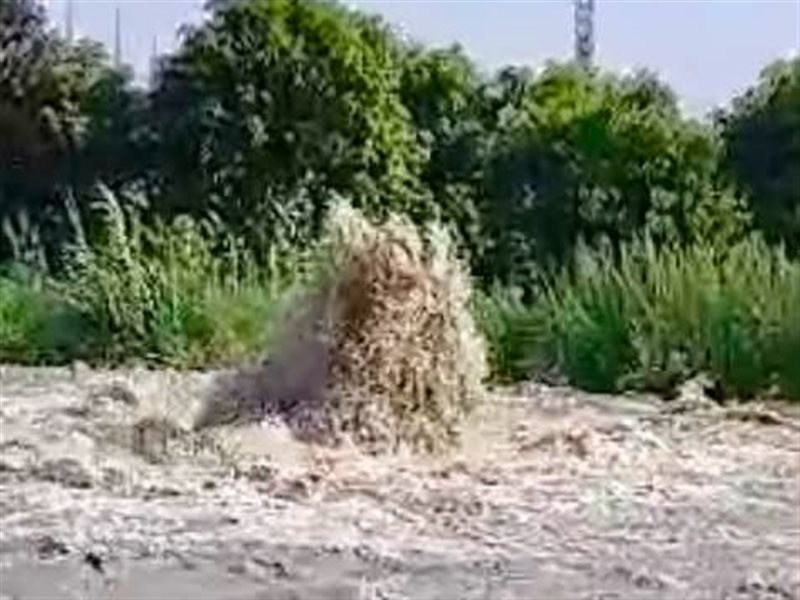ترعة الاسماعيلية