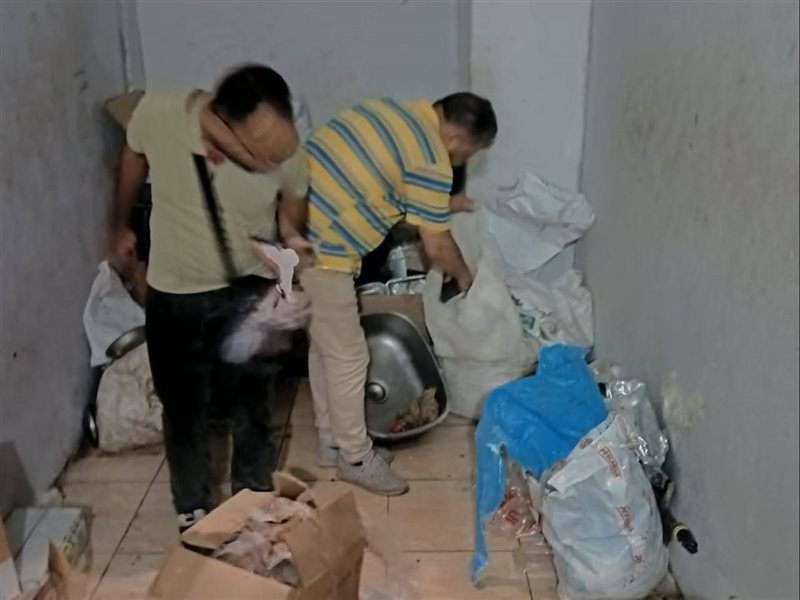 خلال حملة اليوم