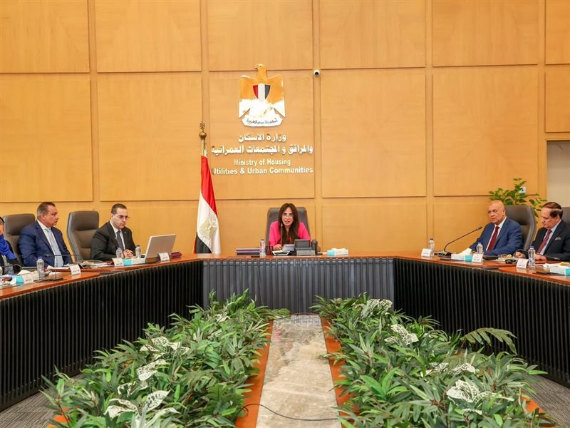 راندة المنشاوي وزيرة