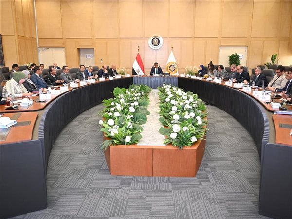 وزير الصناعة يضع خارطة طريق تفضيل المنتجات المصرية في العقود الحكومية