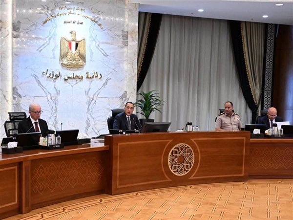 قرارات جديدة للحكومة تشمل العمل عن بُعد والتعليم والاستثمار وتطوير المشروعات القومية
