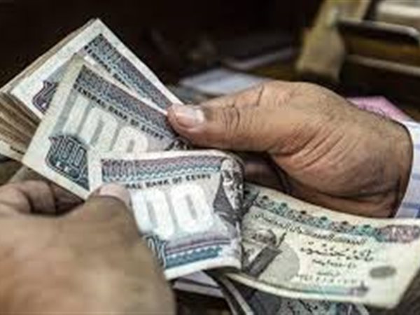 تكافل وكرامة سبتمبر 2026.. خطوات الاستعلام عن الدعم بالرقم القومي