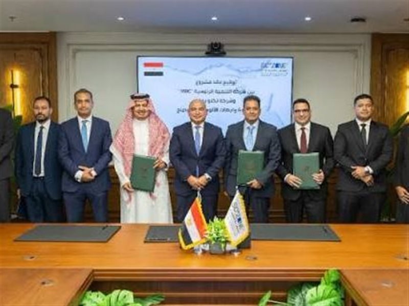 مجمع مصري سعودي لإنتاج