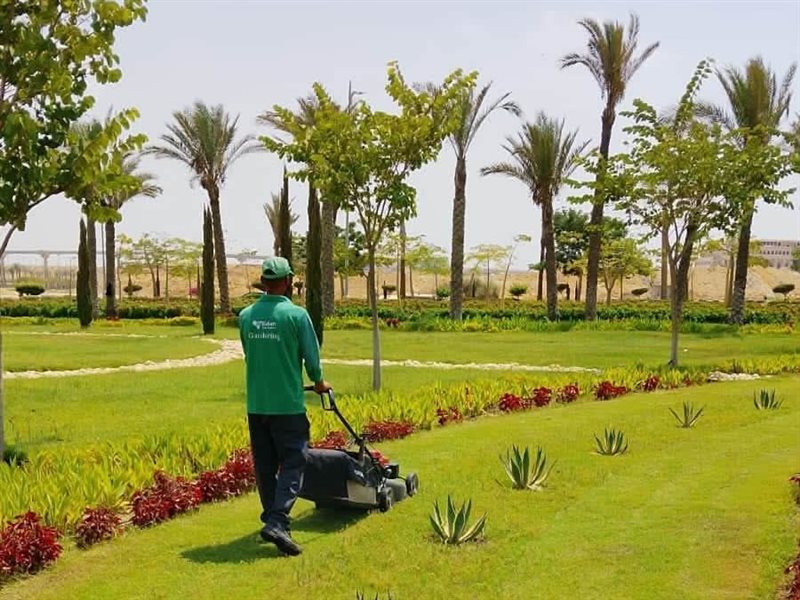 أعمال الزراعة بالعاصمة