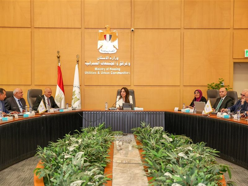 راندة المنشاوي وزيرة