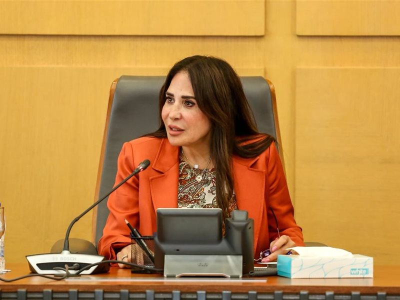 راندة المنشاوي وزيرة