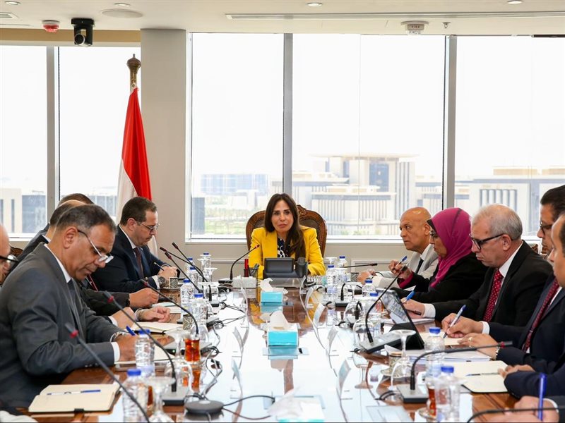 راندة المنشاوي وزيرة