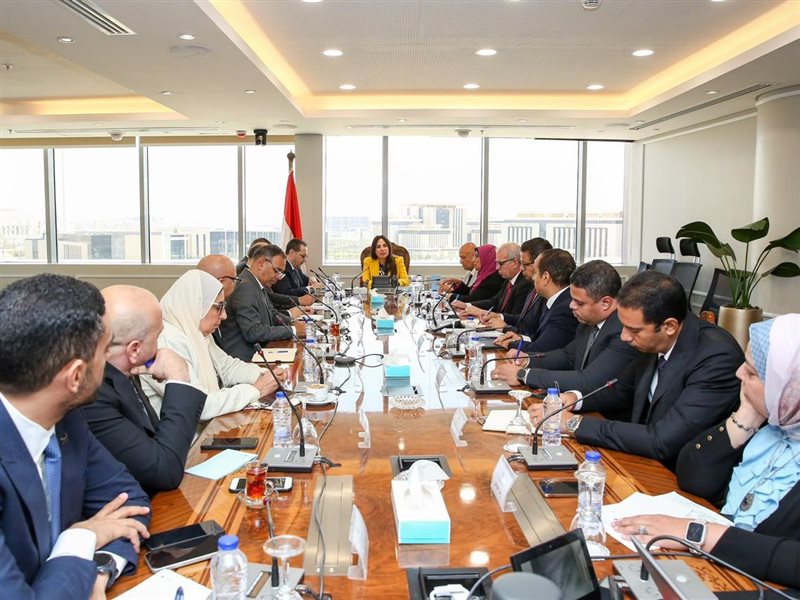 راندة المنشاوي وزيرة