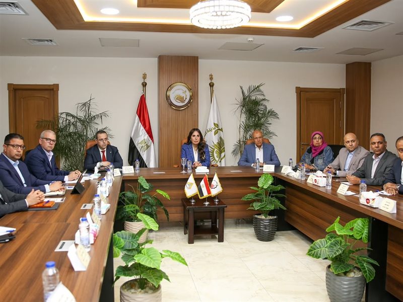 راندة المنشاوي وزيرة