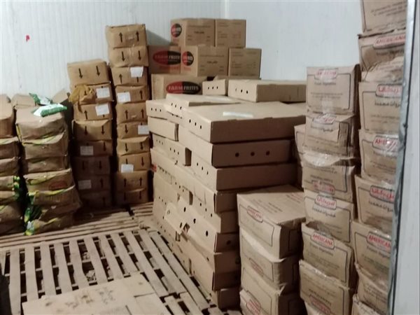 تموين الأقصر يضبط 110 كجم فراخ مجمدة داخل ثلاجة لحوم غير مرخصة