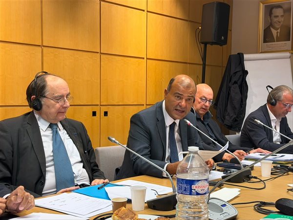 خالد حنفي: القمة الاقتصادية العربية الفرنسية تستهدف تحويل الشراكة إلى استثمارات ومشروعات
