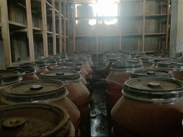 ضبط 22 طن زيتون مخلل غير صالح للاستهلاك داخل منشأة غير مرخصة بالغربية