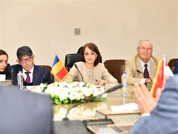 وزير الإنتاج الحربي يبحث مع سفيرة رومانيا تعزيز التعاون الصناعي والاستثماري
