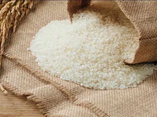 صدمة في سوق الأرز.. الأسعار تهوي آلاف الجنيهات دفعة واحدة