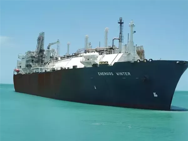 إنرغوس وينتر تغادر مصر إلى إسبانيا للإصلاح.. والعودة إلى دمياط بنهاية أكتوبر