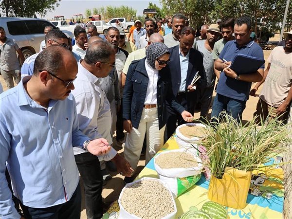 محافظ الوادي الجديد تتفقد مشروعات زراعية واستثمارية بمنطقة بحيرة باريس