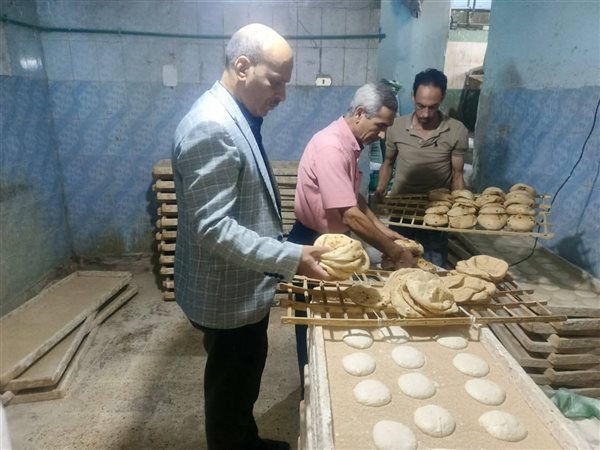 تموين الغربية يضبط 43 شيكارة دقيق مدعم و6600 عبوة وكيس منتهية الصلاحية