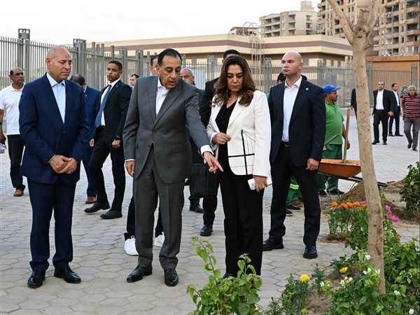 مليون نبتة في القاهرة.. خطة لتخضير الشوارع وتحويل المساحات المهملة لحدائق خضراء